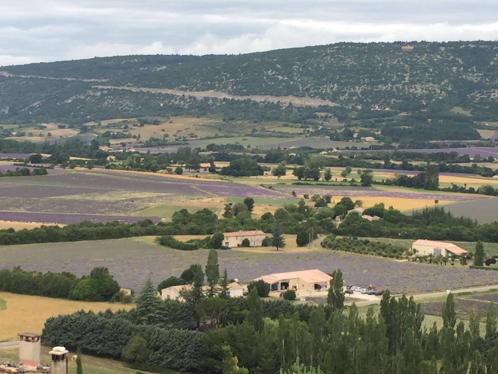 The view after Descending Ventoux into Sault