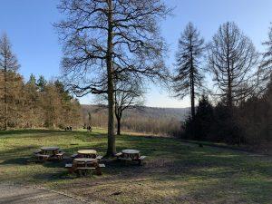 Wendover woods cafe