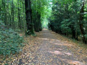 Tring Park